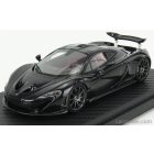 TRUESCALE McLAREN P1 2013