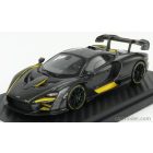 TRUESCALE McLAREN SENNA MSO (P15) 2018