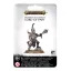 Games Workshop HEDONITES OF SLAANESH: LORD OF PAIN