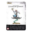 Games Workshop TZEENTCH ARCANITES TZAANGOR SHAMAN