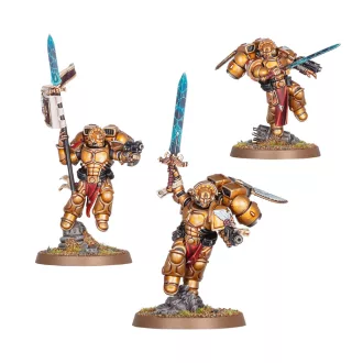 Games Workshop BLOOD ANGELS: SANGUINARY GUARD