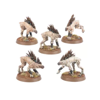 Games Workshop T'AU EMPIRE: KROOT HOUNDS