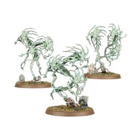 Games Workshop NIGHTHAUNT: SPIRIT HOSTS