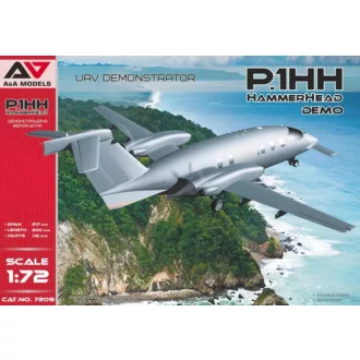   A&A Models P1.HH Hammerhead UAV Demostrator - repülő makett