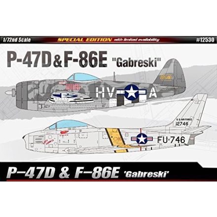 Academy P-47D & North-American F-86E "Gabreski" makett