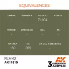AK Interactive - RLM 62