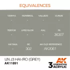 AK Interactive - IJN J3 Hai-iro (Grey)