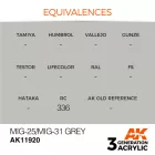 AK Interactive - MiG-25/MiG-31 Grey