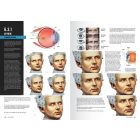 AK FIGURES F.A.Q. – FIGURE PAINTING TECHNIQUES