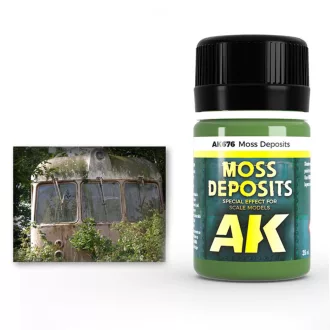 AK Interactive - MOSS DEPOSIT koszoló