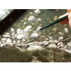 AK WATER GEL EFFECTS - FOLYÉKONY VÍZ EFFEKT