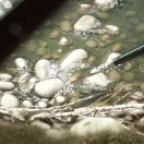 AK Interactive - WATER GEL EFFECTS - 100ml (Acrylic) vízeffekt anyag