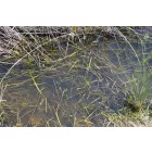 AK STILL WATER - FOLYÉKONY VÍZ