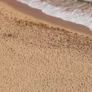 AK Interactive - TERRAINS BEACH SAND - 250ml (Acrylic) dioráma textúra