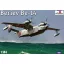 Amodel Beriev Be-14 Soviet rescue aircraft repülő makett