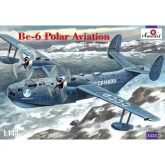   Amodel Beriev Be-6 reconnaissance a.patrol aicr repülő makett