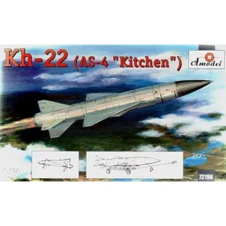   Amodel Kh-22(AS-4 'Kitchen') long-range anti-sh repülő makett