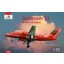 Amodel Jetstream 31 British airliner repülő makett