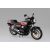 Aoshima SUZUKI GSX400FS IMPULSE makett