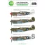 Art Scale Kit Curtiss Kittyhawk Mk.I Pacific battlefield RAAF part I - matricakészlet