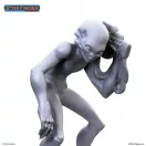 Archon Studio - Starfinder - GRAY figura