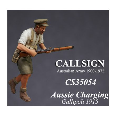 Callsign Models ANZAC attacking makett