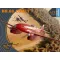 Clear Prop Models DH.88 Comet 1:72 repülő makett