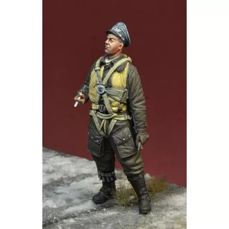 D-DAY miniature studio Luftwaffe Pilot Ace Franz Stigler