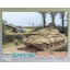 Dragon Sd.Kfz. 182 Kingtiger Porsche Turret - harckocsi makett