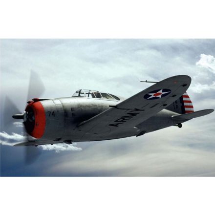 Dora Wings Republic P-43 Lancer makett