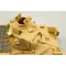 Eduard Matilda III/IV (TAM 35300) fotómaratás