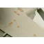Eduard E-2C surface panels für Kinetic fotómaratás