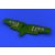 Eduard Spitfire Mk.VIII gun bays (EDUARD)