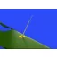 Eduard Luftwaffe FuG 16 antennas műgyanta repülő kiegészítő
