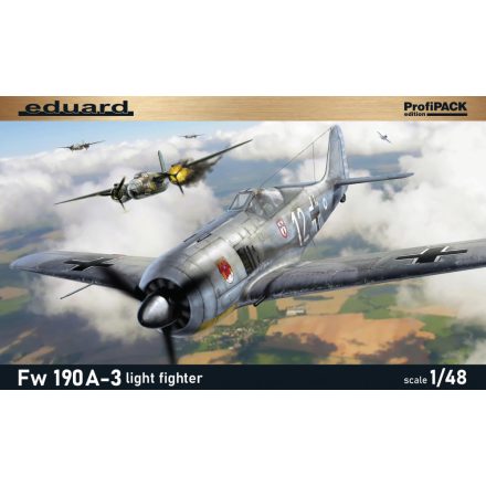 Eduard Fw 190A-3 light fighter makett