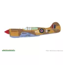 Eduard - P-40K short tail repülő makett