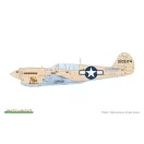 Eduard - P-40N Warhawk repülő makett