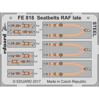 Eduard Seatbelts RAF late STEEL fotómaratás