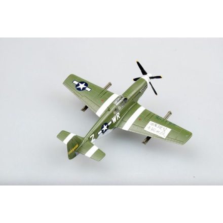 Easy Model P-51B 1st Lieutenant Henry Brown