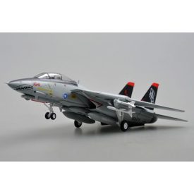 Easy Model F-14D VF-101