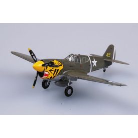 Easy Model P40E 11FS 343FG 1942