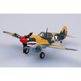 Easy Model P40E 16FS 23FG 1942