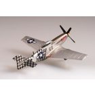 Easy Model P-51K 6ACA 1ACG India 1945
