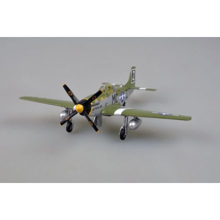 Easy Model P-51D 79FS
