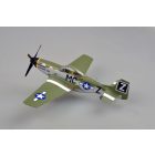 Easy Model P-51D 79FS