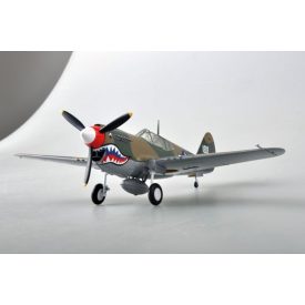 Easy Model P-40M
