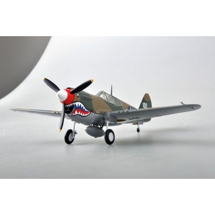 Easy Model P-40M