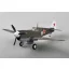 Easy Model P-40M