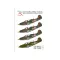 Exotic Decals Aeronautica Militar Cobras Bell P-39 Airacobra In Portuguese Service matrica készlet