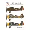 Exotic Decals PZL/IAR P.11F - Polish Fighter Plane In Romanian Service matrica készlet